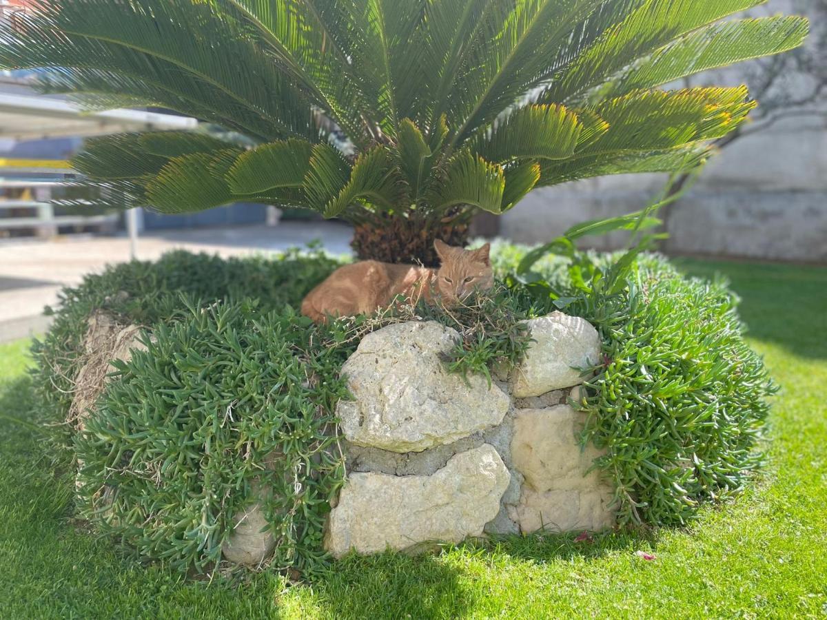 Borgina Apartment Vodice