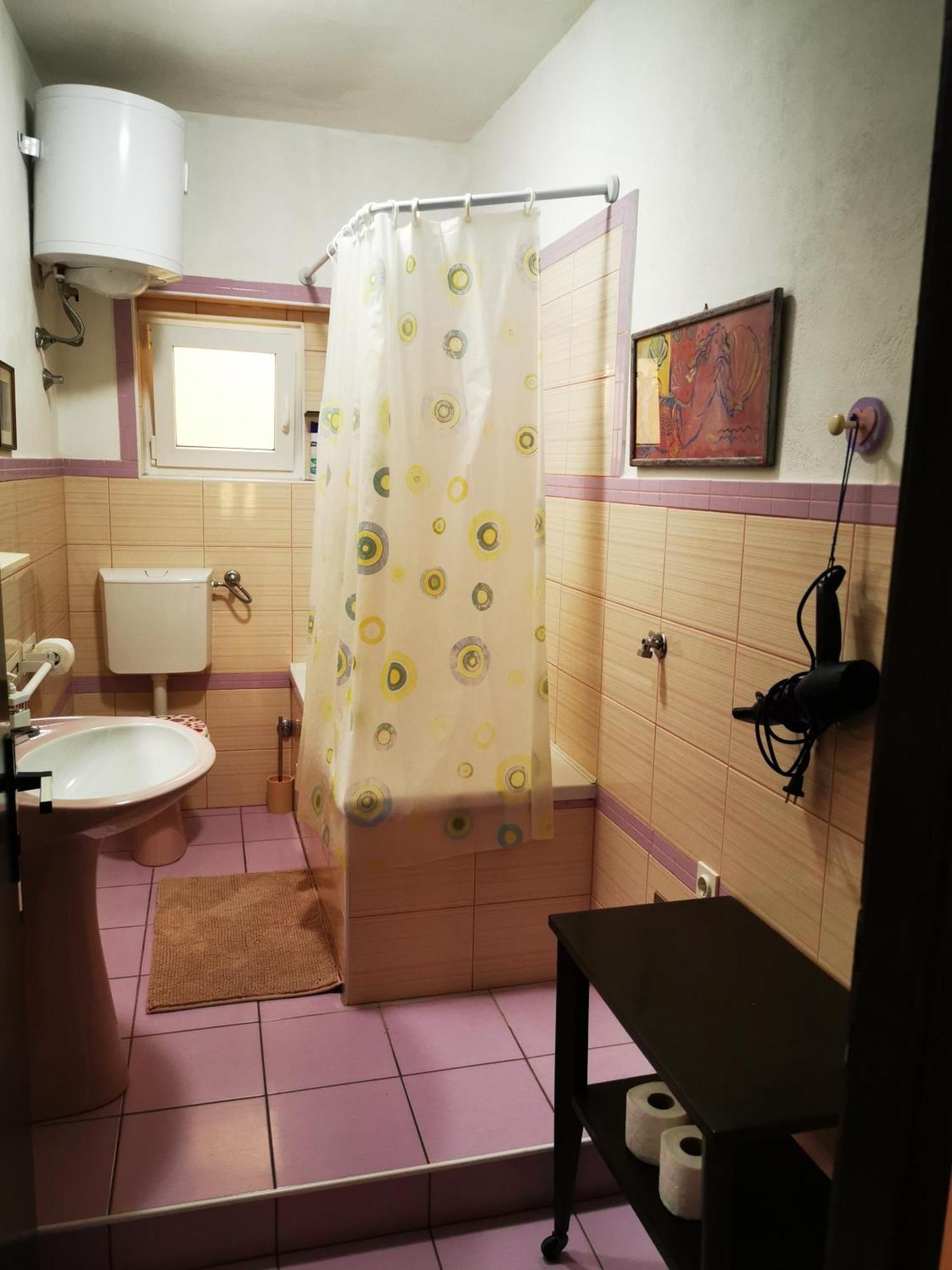 Apartment Borgina